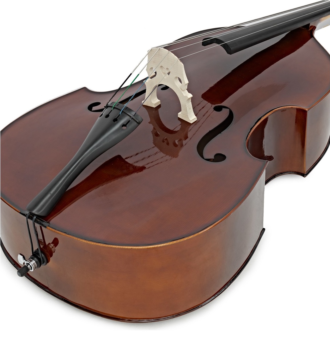 cellista
